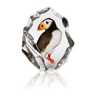 Puffin