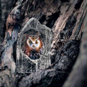 Maleras Eagle Owl crystal bird by Mats Jonasson