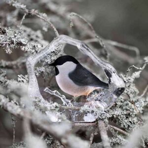 Marsh Tit crystal object by Mats Jonasson