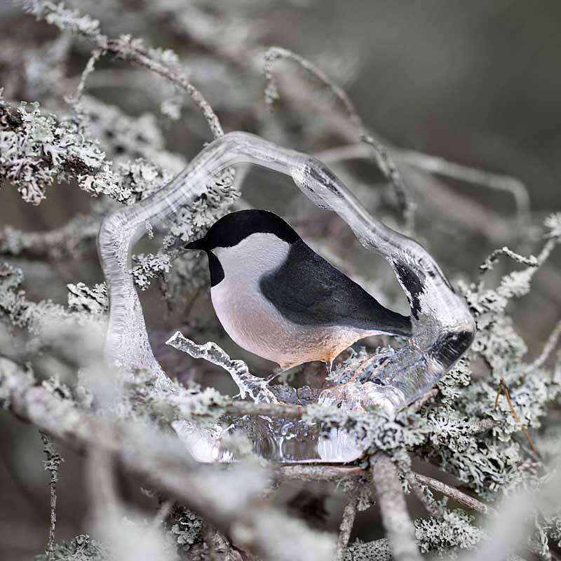 Marsh Tit crystal object by Mats Jonasson