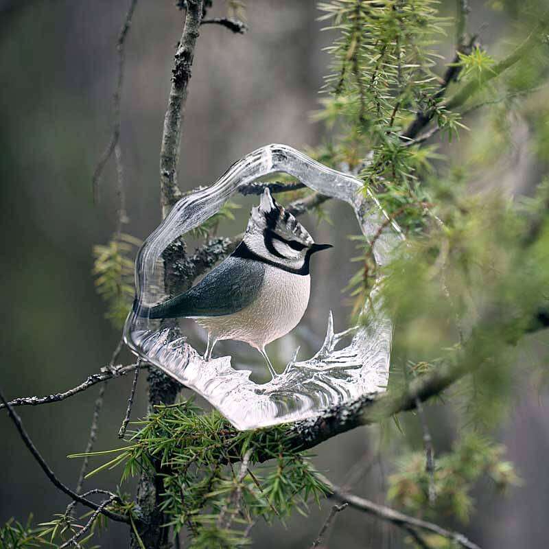 Maleras Crested Tit crystal object by Mats Jonasson