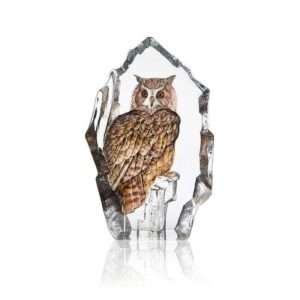 Bird Eagle Owl Lim. edition