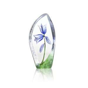 Maleras Harebell glass by Mats Jonasson
