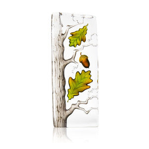 Oak tree large in glass by Maleras,Sweden