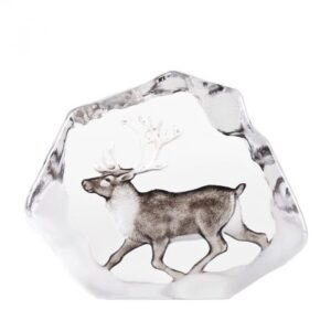 Reindeer painted on glass