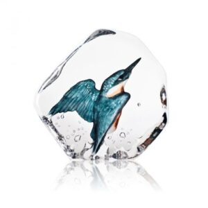 Kingfisher by mats Jonasson